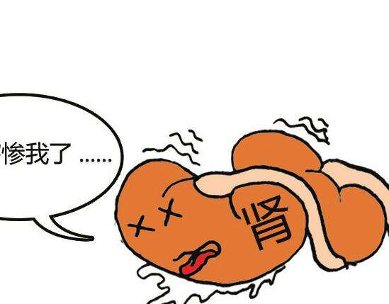 肌酸怎么吃？肌酸服用劑量怎么算？(圖4)