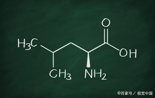 支鏈氨基酸到底有用么？bcaa沒用？(圖7)